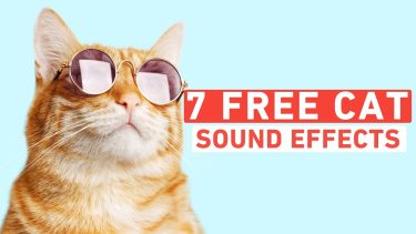 【無料】猫の効果音をお探しならこちら！| 7種類のサウンドエフェクト(猫の鳴き声ver)